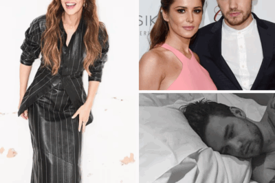 Haunted by Shadows of the Past: Cheryl ‘Desperate to Focus on Bear’ as Liam Payne’s Anniversary Nears—But Friends Fear for Her Well-Being After Chilling Return of Ja:iled Stalker