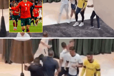 Sh0ck Discovery: Expert Lip-Reader Uncovers Cristiano Ronaldo’s Startling Hidden Words After Hotel Clash with Pushy Fan