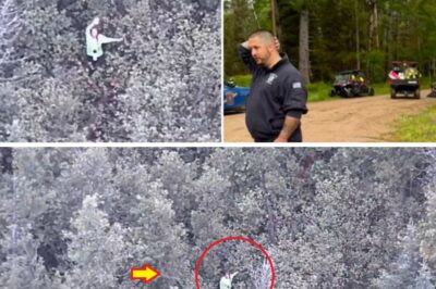 Mystery in the Wild: YouTube Survival Show Contestant Vanishes in Forest — Massive Manhunt Launched as Ch:ill:ing Questions Emerge About What Really Happened Behind the Scenes