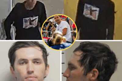 “I DON’T LIKE HIS VIEWPOINT” — Charlie Kirk suspect’s motive revealed as political messages emerge following his arrest