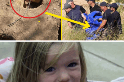 “THE TRUTH IS OUT!” – Detective who worked with the McCann family claims German police have found the ‘KEY EVIDENCE’ in the Madeleine McCann case—but are keeping it hidden and refusing to release it