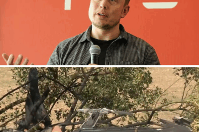 “UNTOUCHABLE TRAGEDY?” — Elon Musk Breaks Silence After Man and Two Children P:e:rish in Tesla Blaze, Rescuers Struggle with Car’s Door Handles