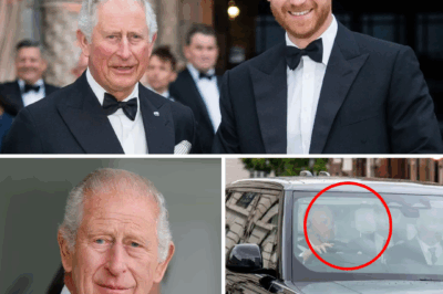 👑⚡ THE KING DECIDES: After Secret Reunion With Prince Harry, Charles Plots Strong Moves That Could Change the Monarchy Forever 👇👇