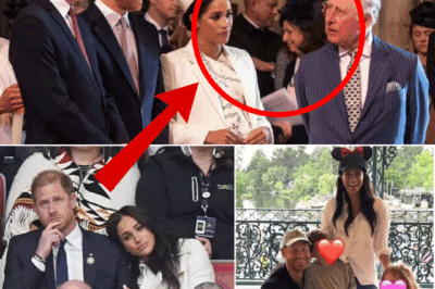“I NEVER EXPECTED THIS…” — Prince Harry Faces ‘Fresh Meghan Dilemma’ After Reuniting with King Charles