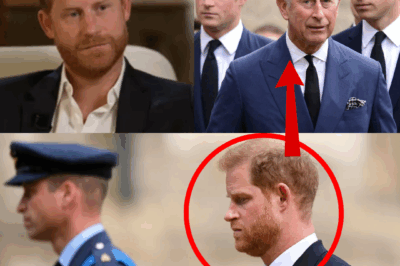 “ROYAL RIFT REVEALED…” — Prince Harry’s Fa/tal Comments That Prove Prince William Was Right