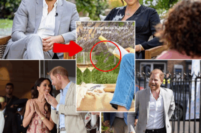 MEGHAN MARKLE CELEBRATES: Duchess Toasts Having Her ‘Beau Back In Town’ With $30 Own-Brand Wine As Prince Harry Returns To US
