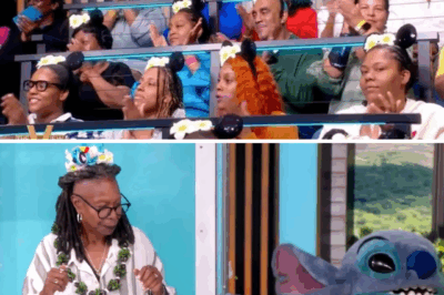 STITCH LOCKS Whoopi Goldberg Into INSANE Wind Machine of TERROR Live on “The View”