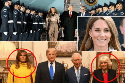 The EXTREME Lengths Princess Kate Went To — Just To AVOID a Fashion Clash With Melania Trump