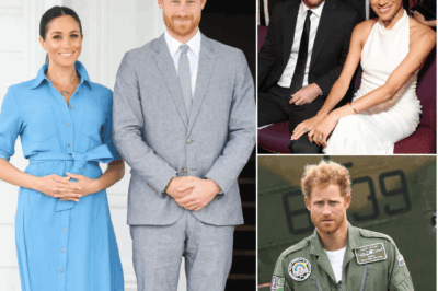 “ROYAL SPARE” — Prince Harry Branded Meghan Markle’s Second Fiddle In Marriage As EXPERT Warns Of Brewing Trouble