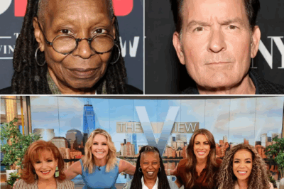 DRAMA ON LIVE TV: Whoopi Goldberg ‘Shuts Down’ Charlie Sheen on The View – Reveals Her Shocking Battle with Addiction