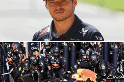 F1 REALITY CHECK: Max Verstappen’s former mechanic LIFTS the lid on the brutal workload and shockingly low salary endured by Red Bull support staff