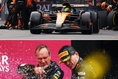 MCLAREN’S WAKE-UP CALL! Stella Demands F1 Pitstop FIX After Azerbaijan GP Disaster