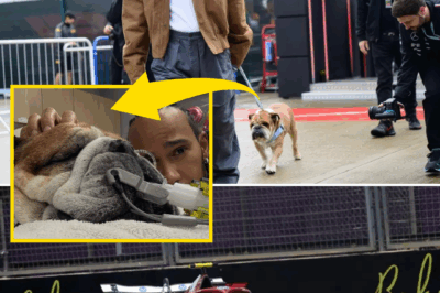 “‘So Scary’: Lewis Hamilton Reveals DEVASTATING Health Update on Beloved Dog Roscoe After Hospital Emergency”
