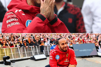Fans in SHOCK as Lewis Hamilton suddenly pulls out of a major Ferrari event amid Roscoe’s health scare