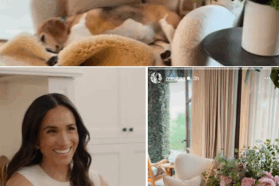 Royal LUXE Reveal! Meghan Markle just gave fans a rare peek inside her $14M Montecito mansion’s living room — and the details have everyone talking