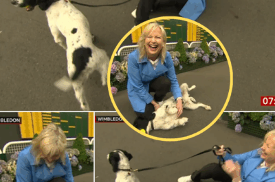 “DRAMA ON BBC BREAKFAST” — Carol Kirkwood Sparks Panic After She’s Dragged to the Ground by a Dog in Front of Shocked Co-Stars…
