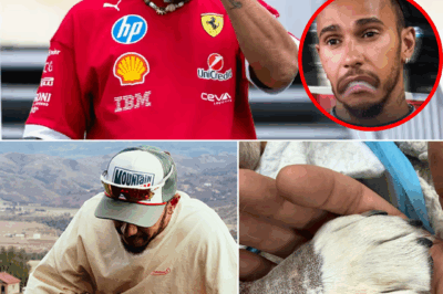 HEARTBREAKING NEWS: F1 World SH0CK. Lewis Hamilton Announces Heartbreaking Family Tragedy, Revealing The ‘Hardest Decision Of His Life.’ The Seven-Time Champion, Known For His Strength On The Track, Opens Up About A Devastating Personal Blow That Has Left Fans In Tears 💔. Insiders Say This Painful Choice Could Change Hamilton’s Future Forever…