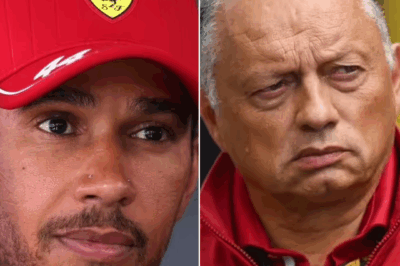Ferrari Boss Makes His Feelings Crystal Clear After Lewis Hamilton’s Brutal Dutch GP Mistake — A Fiery Reaction That Exposes Tensions on and off the Track
