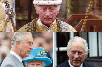 HEARTBREAKING: Former Royal Butler Reveals King Charles’ Emotional Response to Becoming King