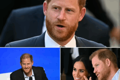 DRAMA: Prince Harry’s US Visa Controversy Takes Shocking New Twist as Explosive Details Emerge