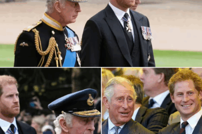 SHOCKING: King Charles Will Only Meet Prince Harry ‘If He Abides by One Strict Rule’ 😱
