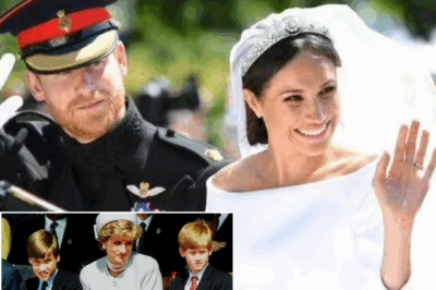 SHOCKING: Meghan Markle’s Post-Royal Actions ‘Would Have Disappointed’ Princess Diana