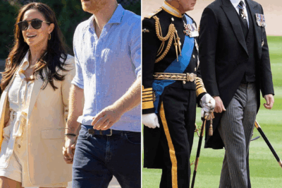 Harry Embarks on ‘PSEUDO ROYAL’ Tour — But PALACE Silent on Whether Four-Day Visit Will Include Seeing His FATHER