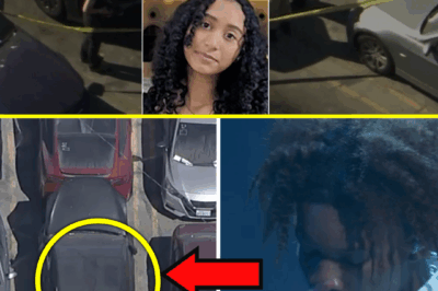 MINS AGO: Police Issue SH0CKING Statement on the Girl Found in Singer D4vd’s Car After Crucial Piece of Evidence Uncovered Following Raid on His Hollywood Hills Home