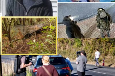 “THIS IS NOT LOVE — IT’S ABUSE!” — Explosive Backlash Erupts as Locals Condemn Fugitive Dad Tom Phillips While Supporters Insist He’s Protecting His Children