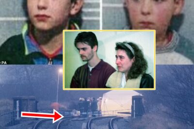 “M0NSTERS BEHIND A SCREEN” — Heartbroken Mum Condemns TikT0k Users Who Created Twisted AI Videos of James Bulger Talking About His K-lling