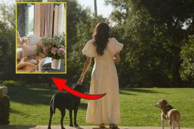 Meghan Markle REVEALS her “SECRET WEAPON” — REVEALING photos of a LUXURIOUS living room! The “AS EVER” BRAND REVOLUTION OFFICIALLY STEPS ONTO THE STAGE!