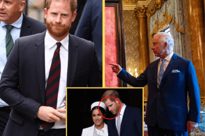 ROYAL SH0CKWAVE: King Charles ABSOLUTELY BAN-S Harry From Returning to Royal Duties – Sh0cking Secrets Behind Palace Doors Exposed!