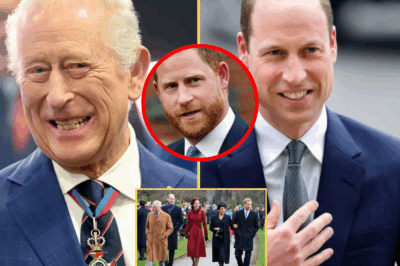 ROYAL MYSTERY: Prince Harry ACCUSED Of Plott-ing To “DIVIDE” King Charles & Prince William – The UNTOLD TRUTH Behind The SE.CRET Clarence House Meeting Finally REVEALED!