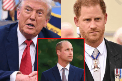 Trump IGNORED Prince Harry – Praising William, Causing Harry and Meghan to “LOSE SLEEP”!