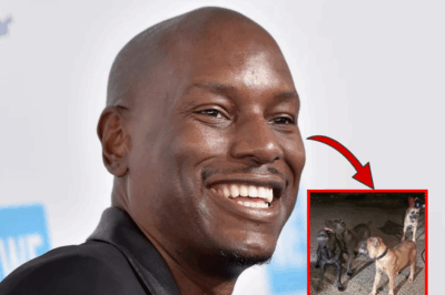 Buckhead In SH0CK: Tyrese Gibson And His “KI-LLER” Dogs Tear Apart Neighbor’s PET – The Whole Neighborhood SCRE@MS, What Is The SH0CKING Truth Behind This INCI-DENT?
