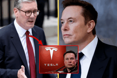 ELON MUSK “INCITES CIVIL UN.r.est” In The U.K.: “FIGHT BACK Or D.I.E,” POLICE INJURED – PRIME MINISTER Keir Starmer STR-ONGLY CONDEMNS!