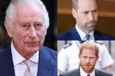 JUST Reunited with Harry After Nearly 2 YEARS — Now King Charles Meets William in Private: Is Royal Peace Finally Coming?