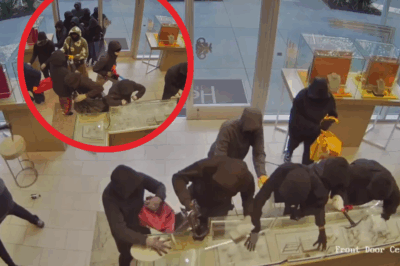 Like a Real-Life GTA Heist! Nearly 20 Masked Thugs Storm California Jewelry Store — Shots Fired, Cases Smashed, $1M Stolen in Minutes!