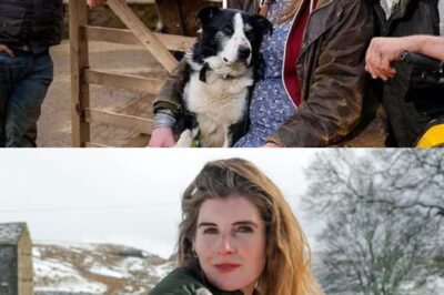 LATEST UPDATE: Yorkshire Shepherdess Amanda Owen Sh0cks Fans as She Finally Reveals the Truth About Rekindling Her Relationship With Ex-Husband Clive Amid Growing Speculation and Family Rumors
