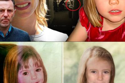 THE SHADOW WITNESS — Did David Payne’s Changing Story Hide the Darkest Truth About Madeleine McCann?