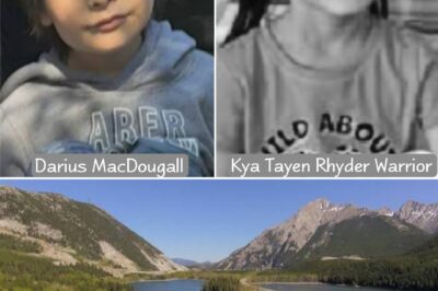 ‘Shoulder-to-shoulder search’ for 6-year-old Alberta boy missing for nearly a week!