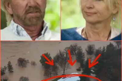“We’ve Lost Everything!” — Noel Edmonds and Wife Devastated as Floods Obliterate Their New Zealand Estate!
