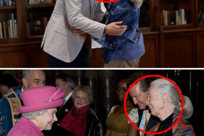 BREAKING: Prince Harry & Meghan Markle In Tears As Beloved ‘Friend’ Jane Goodall PASS3S Peacefully At 91 – Emotional Tribute Reveals Heartbreaking Memory