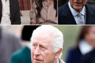 BREAKING TODAY: King Charles SHOCKS Royals – Echoes Meghan & Harry’s Concerns In Stunning Admission