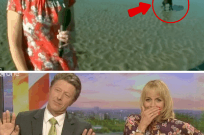 Carol Kirkwood’s LIVE TV CHAOS – BBC Breakfast Weather Star Left Stunned as Dog Interrupts Seaside Report by Peeing On-Air