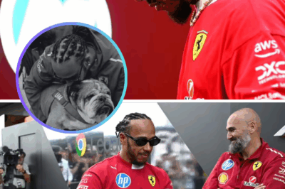 Lewis Hamilton’s HEARTBREAK REVEALED – F1 Legend Shares Emotional Message to Fans as He Opens Up on Losing Beloved Roscoe