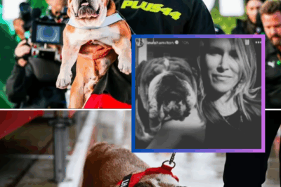 Lewis Hamilton’s SWEET CONFESSION – F1 Icon Gushes Over the ‘Amazing’ Woman He Once Shared Beloved Bulldog Roscoe With