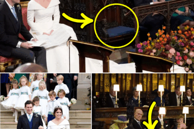 “IT WASN’T AN EMPTY SEAT — IT WAS A TRIBUTE,”: Fans are speechless after royal insiders finally revealed the truth behind the empty seat at Princess Eugenie’s wedding — a mystery that’s puzzled guests and viewers alike since that unforgettable day at St. George’s Chapel