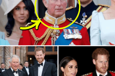“MEGHAN’S TRUE FEELINGS?”: Friend Reveals Duchess’s Take on Harry’s Reconciliation with King Charles