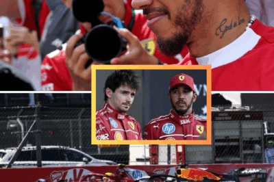 F1 SHOCK: Mexico GP Stewards Drop DOUBLE BOMBSHELL on Lewis Hamilton After Furious Outburst